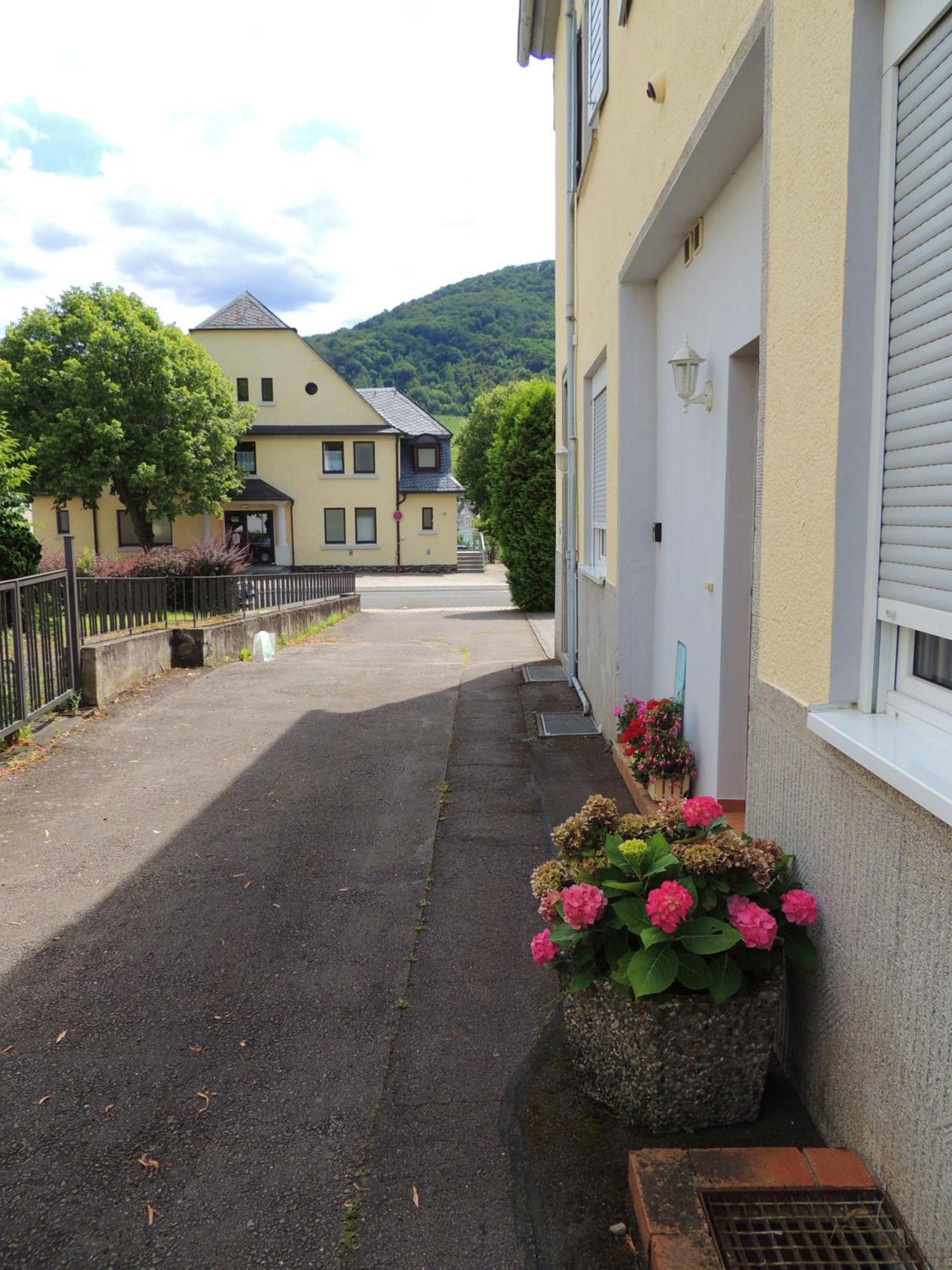 Ferienwohnung Afrika Bernkastel-Kues Bagian luar foto